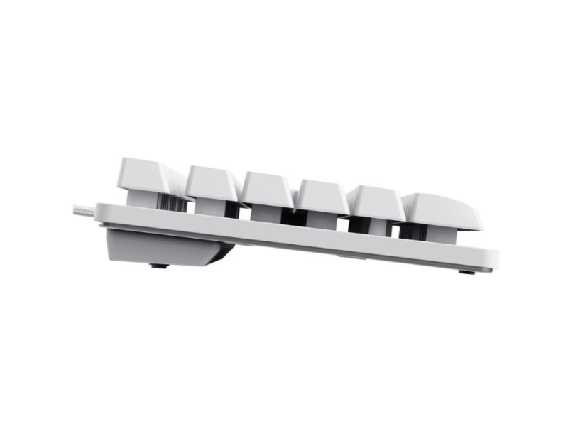 TRUST GXT 833W Thado TKL Keyboard white Illuminated/USB-A/US