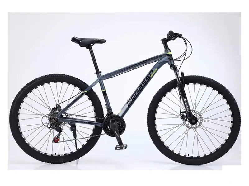 Begasso TY-1049 29"