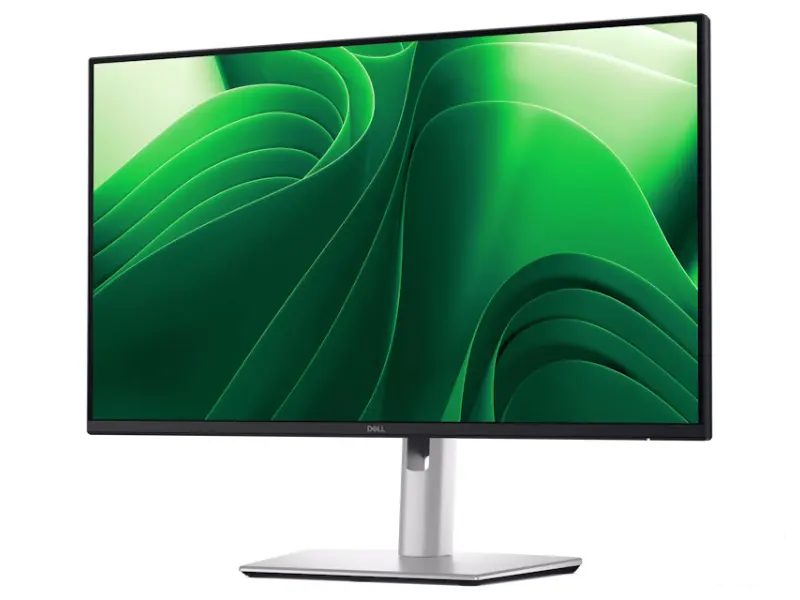 DELL 23.8 inch P2425D QHD 100Hz Pro Plus IPS monitor 