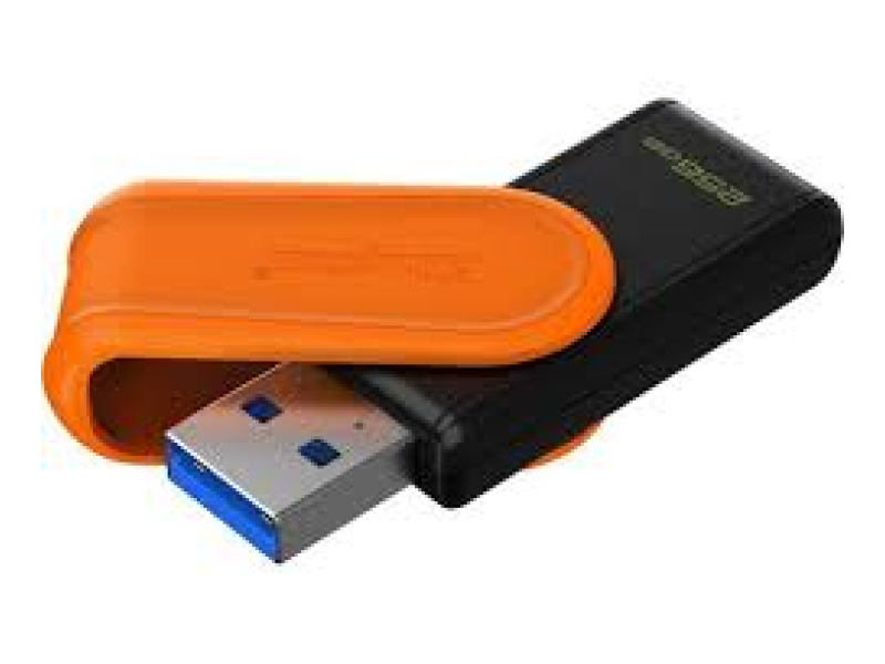 Kingston DTXS/256GB 256GB DataTraveler Exodia S