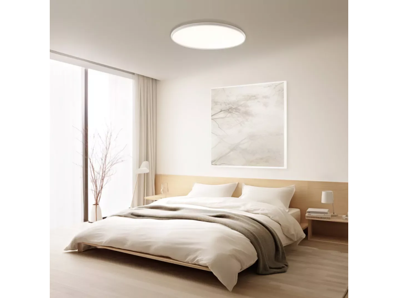 Xiaomi Smart Ceiling Light D30