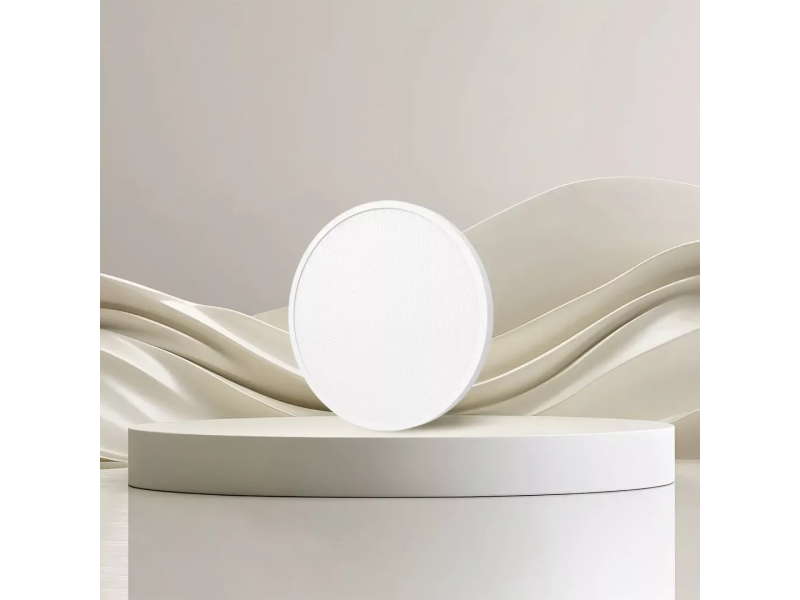 Xiaomi Smart Ceiling Light D30