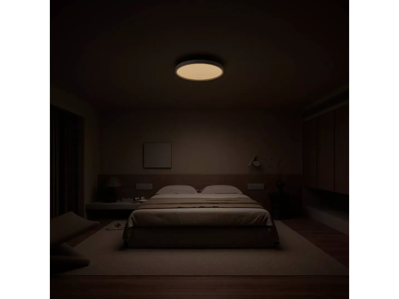 Xiaomi Smart Ceiling Light D30