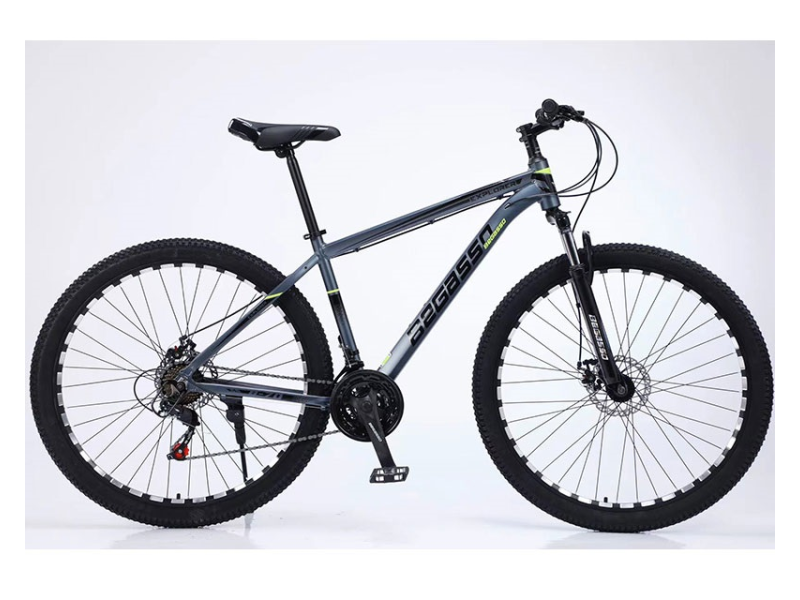 Begasso TY-1049 24"