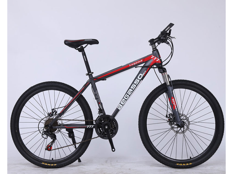 Begasso TY-511 24"