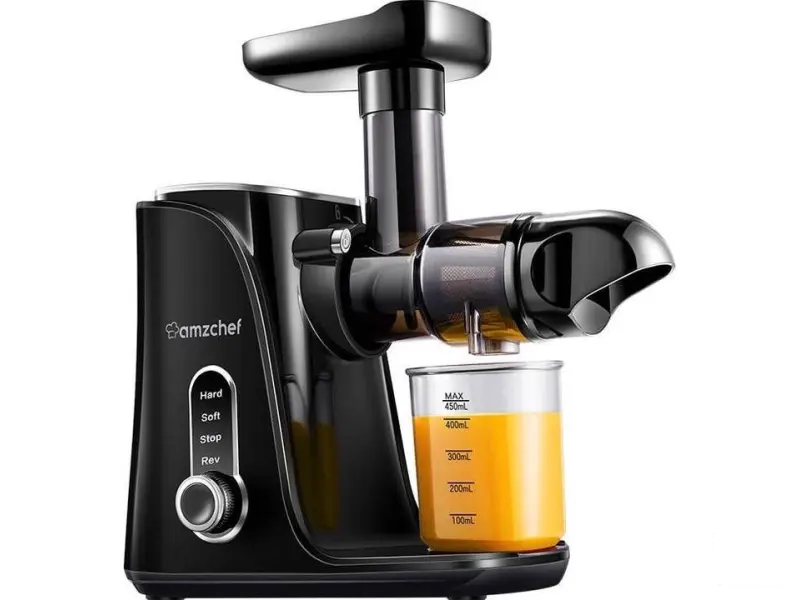 AMZCHEF Slow Juicer GM3001-BK Black