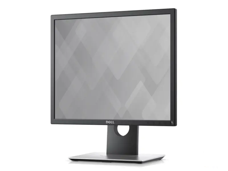 DELL 19 inch P1917S Professional IPS 5:4 monitor 