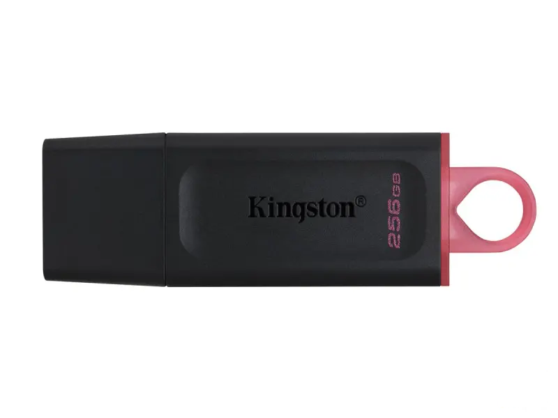 Kingston UFD 256GB DTX KIN