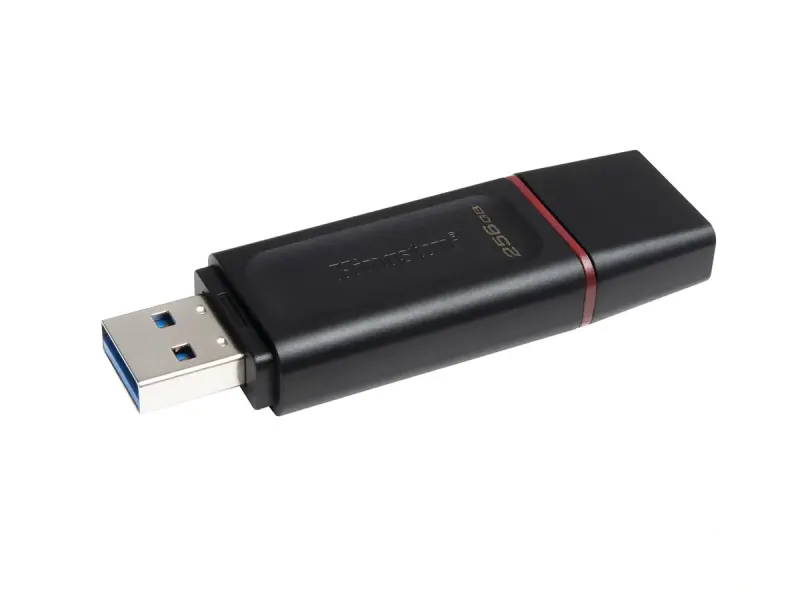 Kingston UFD 256GB DTX KIN