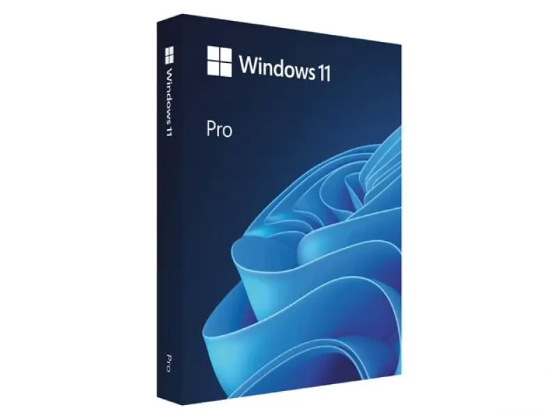 FPP Windows 11 Pro 64-bit Eng USB, HAV-00163