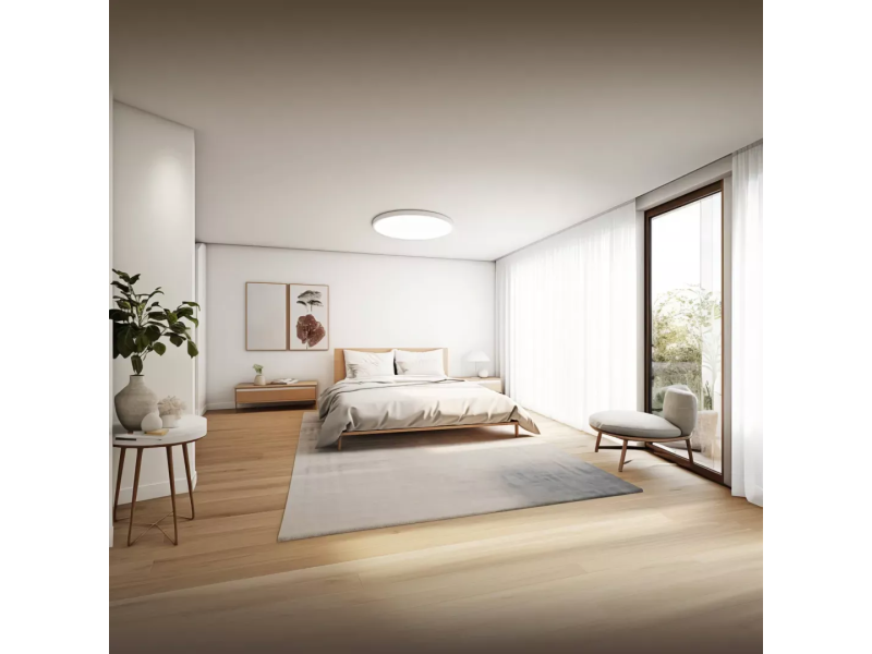 Xiaomi Smart Ceiling Light D40