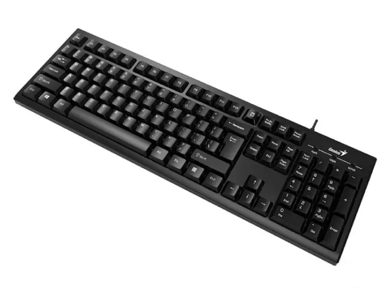 GENIUS KB-100 USB YU crna tastatura 
