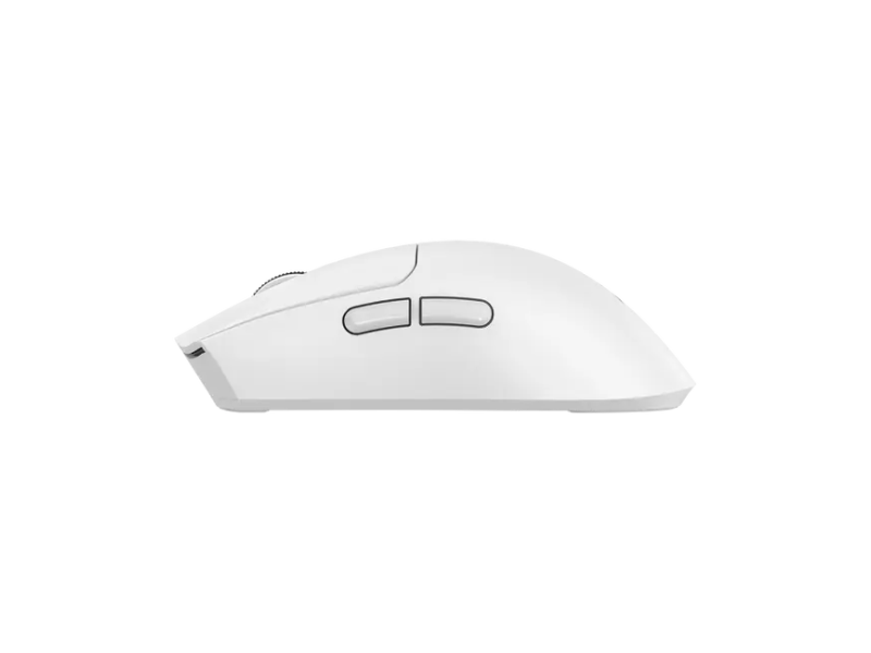 Baracuda MIŠ BGM-132 MORAY Bij