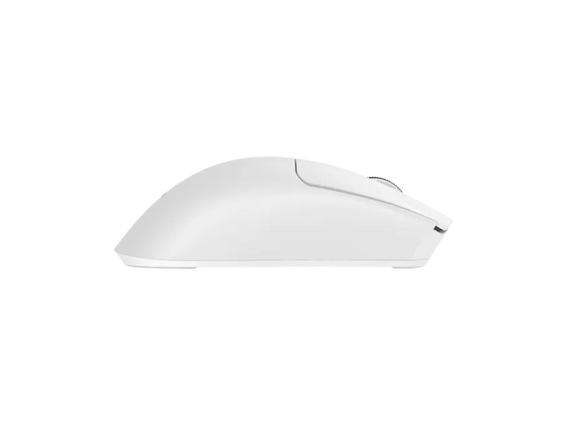 Baracuda MIŠ BGM-132 MORAY Bij