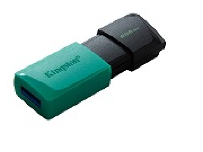 Kingston DTXM/256GB