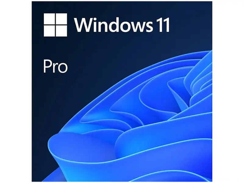 MICROSOFT Windows 11 Pro FPP 64-bit (HAV-00164) 