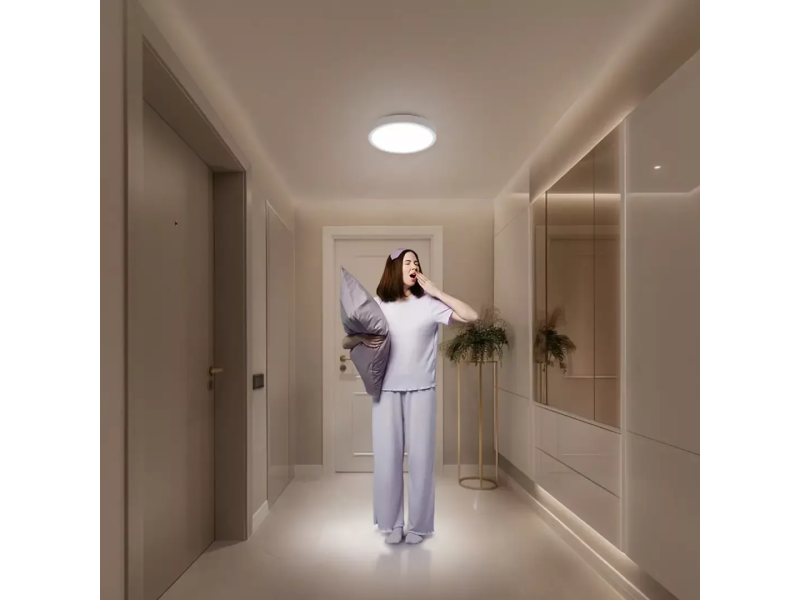 Xiaomi Smart Ceiling Light D20