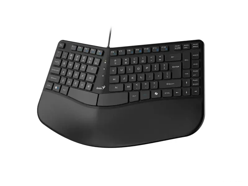 GENIUS Ergo KB-700 USB US crna