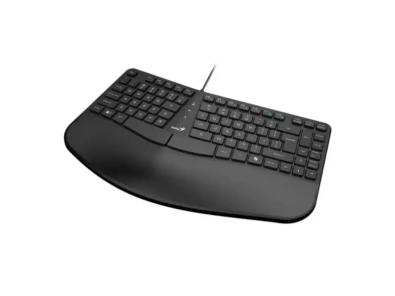 GENIUS Ergo KB-700 USB US crna