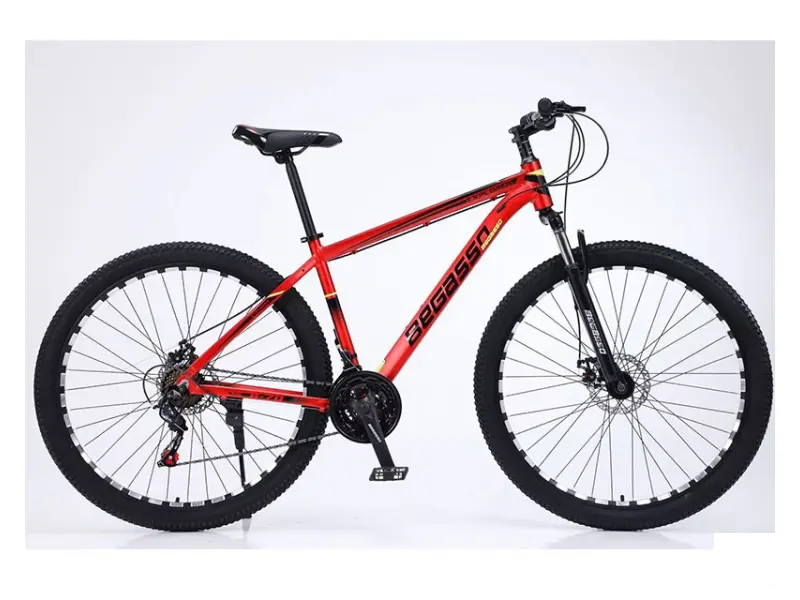 Begasso TY-1049 29"