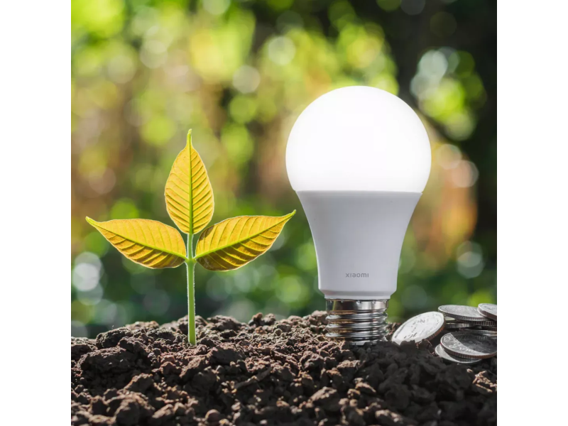 Xiaomi Smart LED Bulb (White and Color)