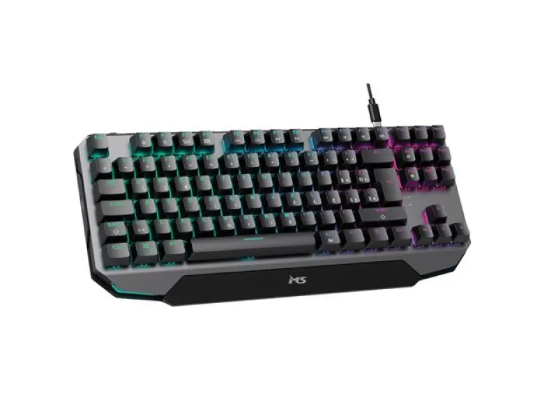 TAST MS ELITE C905 US gaming