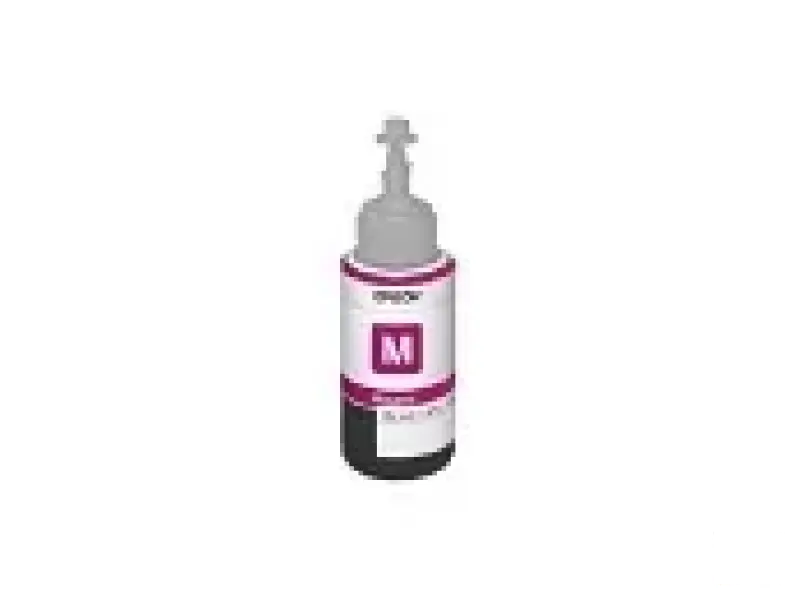 EPSON C13T66434A