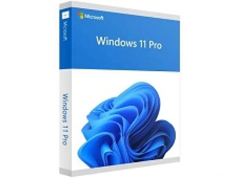 Microsoft Win 11 Pro 64Bit Eng Intl 1pk DSP OEI DVD