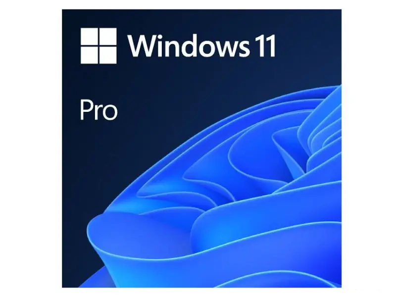MICROSOFT Windows 11 Pro Eng Intl OEM (FQC-10528) 