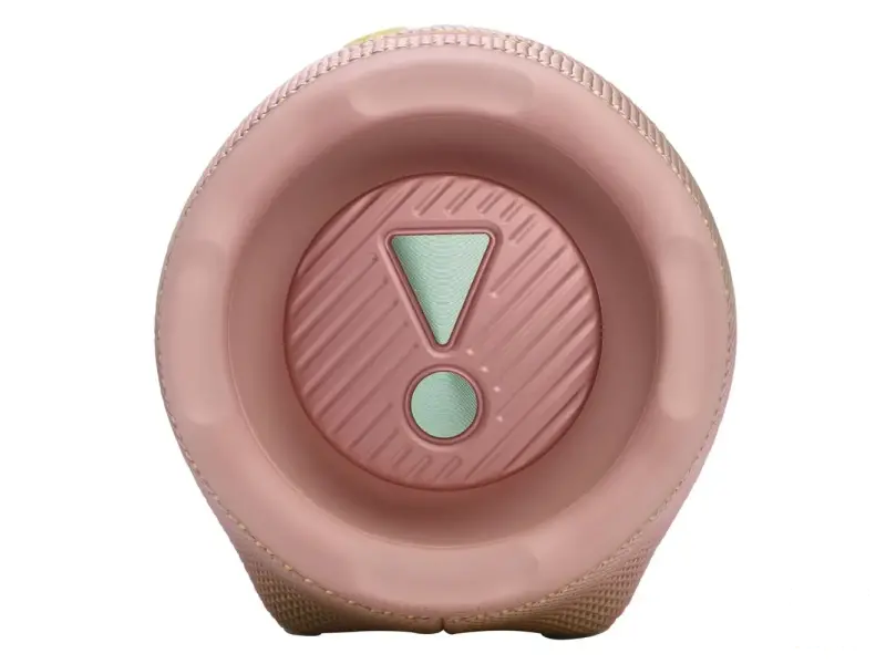 JBL CHARGE 6 Pink
