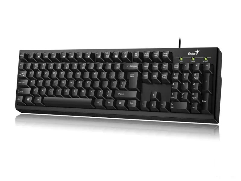 GENIUS KB-100 USB US crna tastatura 