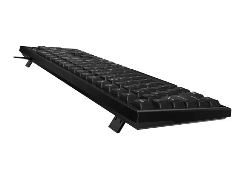 GENIUS KB-100 USB US crna tastatura 