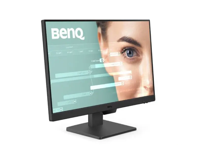 BENQ 23.8 inča GW2490 FHD 1920x1080 IPS 100Hz monitor 