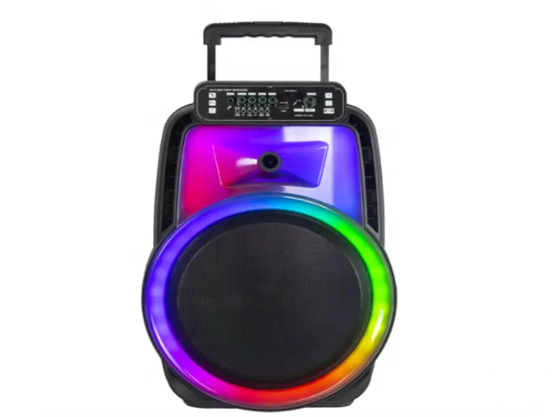 AVCROWNS CH-1228 Prenosivi Karaoke Bluetooth Zvučnik 