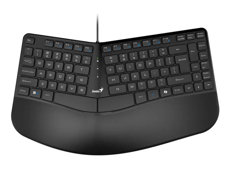 GENIUS Ergo KB-700 USB US crna tastatura 