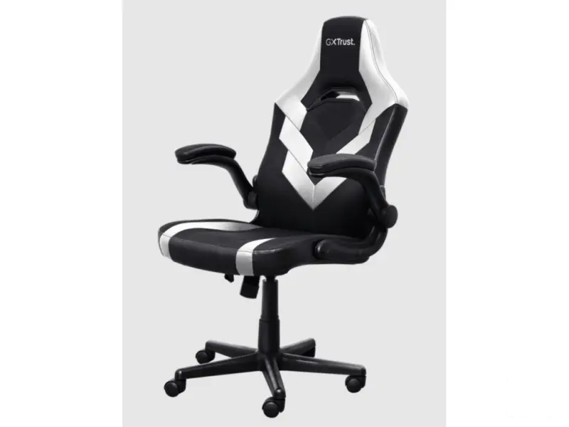 TRUST GXT 703W Riye Comfortable adjustable gaming chair,flip-up armrests, Max weight 140kg,White