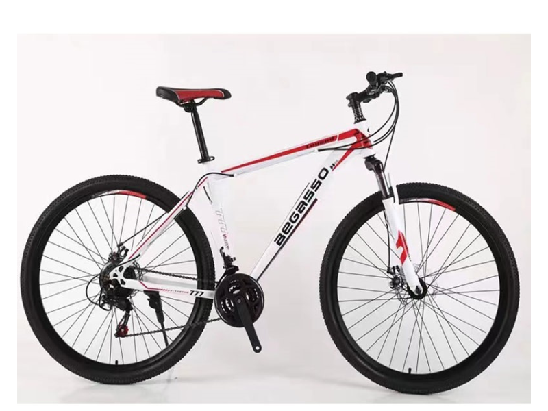 Begasso TY-511 24"
