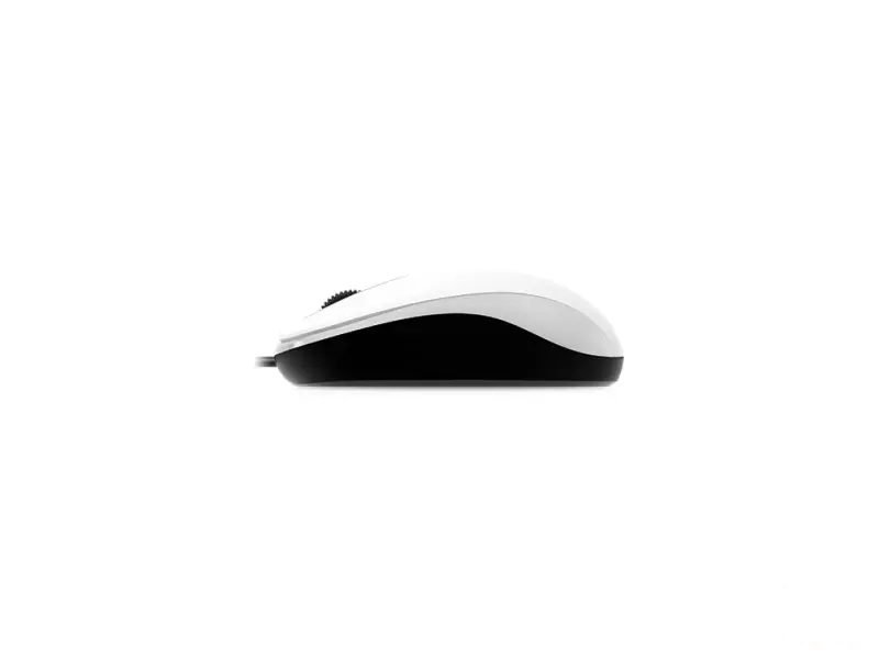 GENIUS DX-110 USB Optical beli miš 