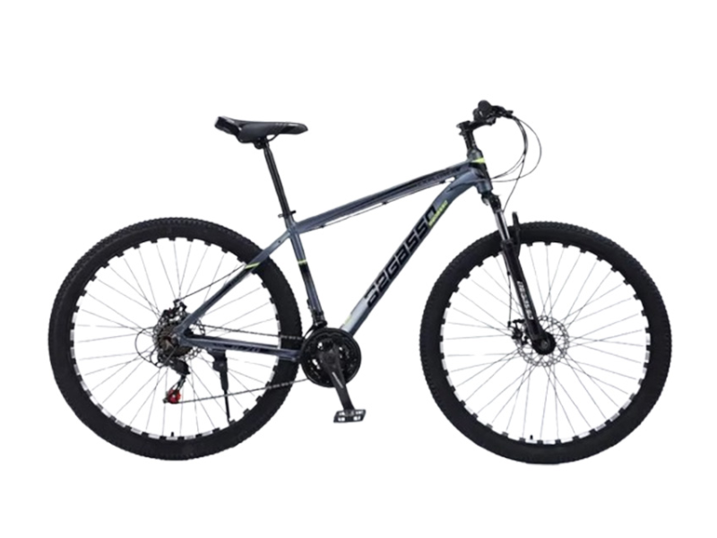 Begasso TY-1049 27.5"