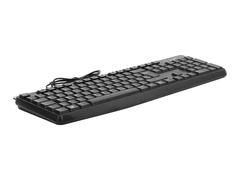 GENIUS KB-117 USB YU crna tastatura 
